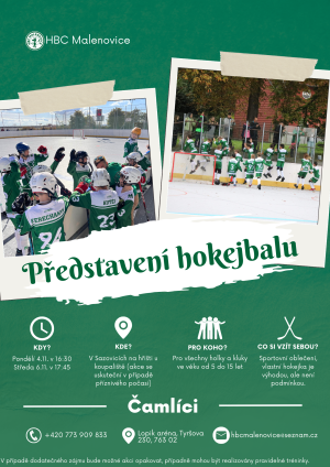 hokejbal
